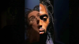 gangsta's paradise but every other beat is amish paradise